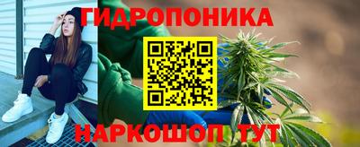 индика Бузулук