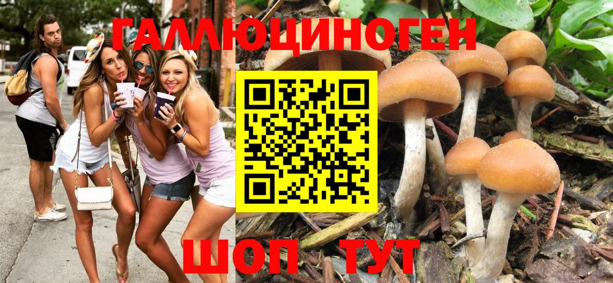 Псилоцибиновые грибы Magic Shrooms  Галлюциногенные грибы GOLDEN TEACHER  Кострома  Вход с VPN 