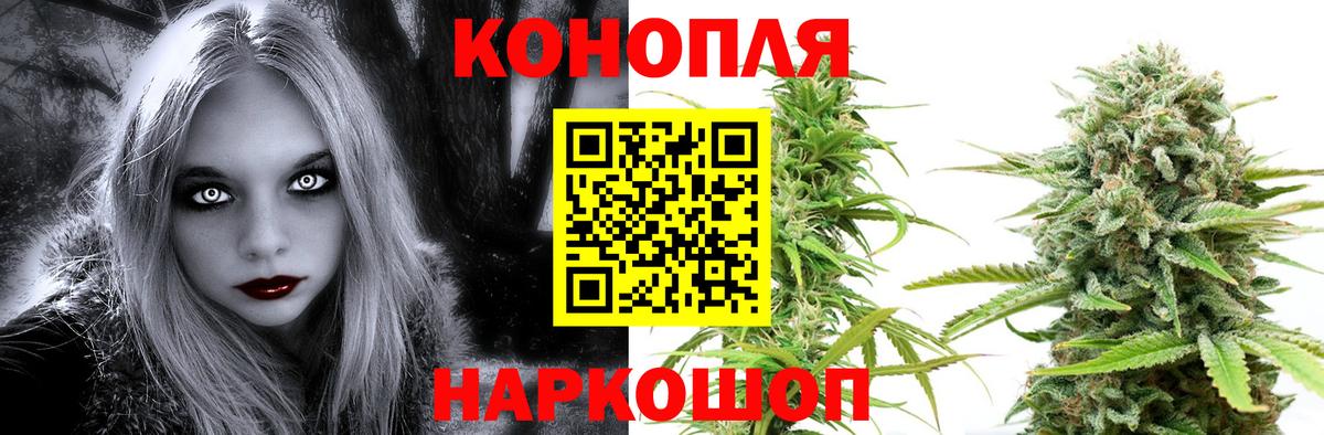 Каннабис гибрид Кострома
